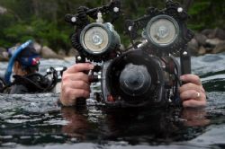 Some divers always have a camera stuck to their face? by Glenn Poulain 